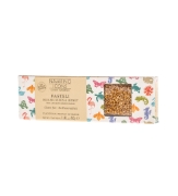 PASTELI